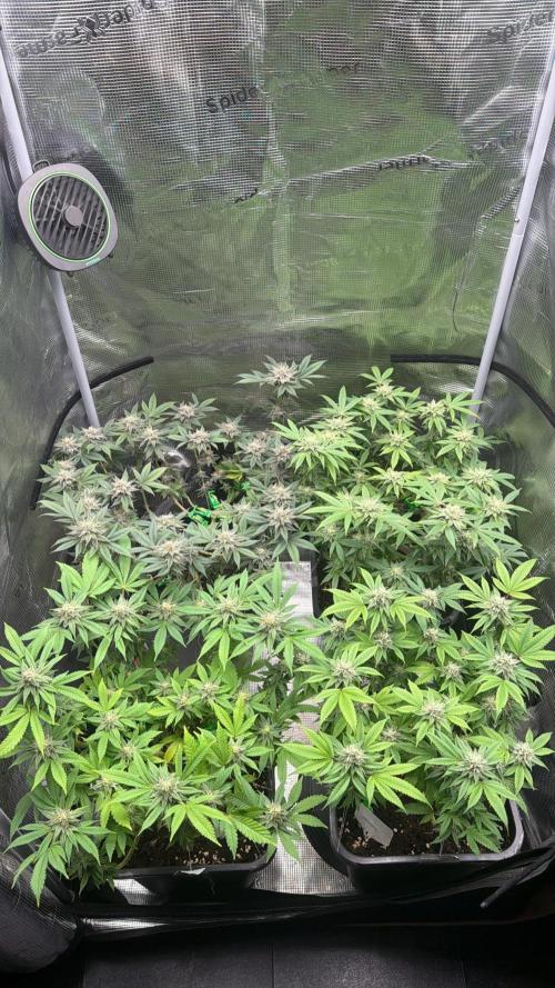 01.01.26. Week 16