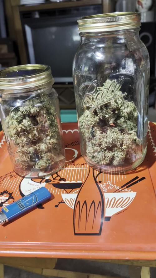 JJs Diary my 2nd Grow