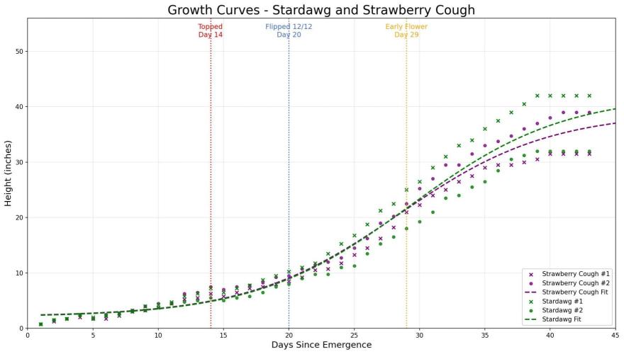 Grow #6: Stardawg and Strawberry Cough. Week 7 - Height measurements by day by plant number with strain-specific logistic reg.