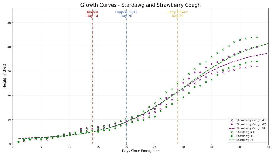 Growing Stardawg and Strawberry Cough. Week 7 - Height measurements by day by plant number with strain-specific logistic reg.
