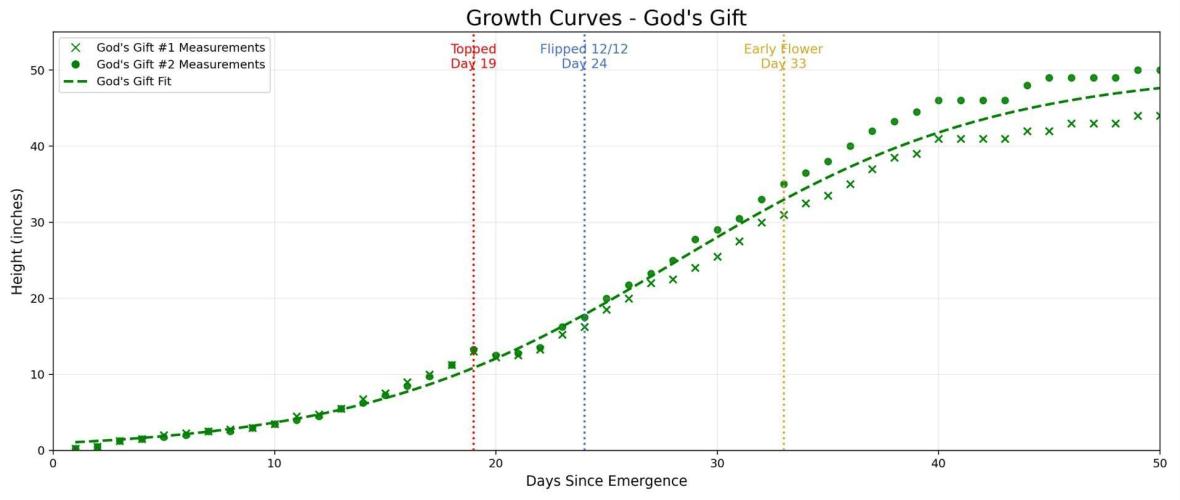 Growing God's Gift. Week 7