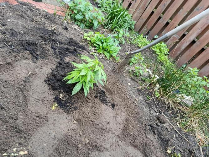 Monster Maker Outdoor. Week 4