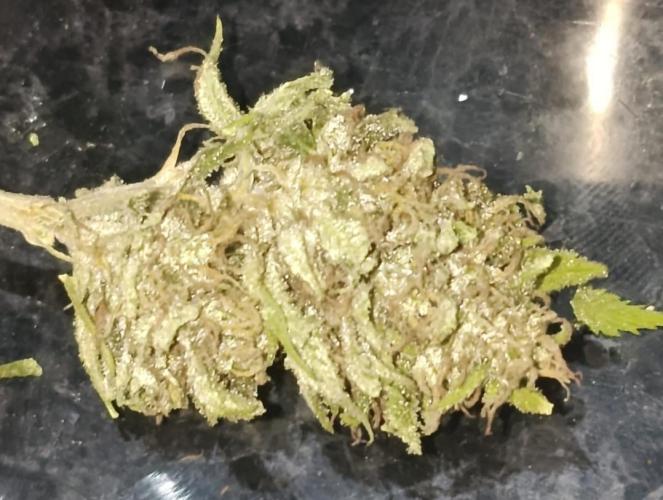Cookies Kush. Week 22 - Belos tricomas