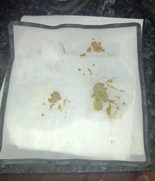 Cookies Kush. Week 22 - Bubble hash com a sobras de limpeza dos buds