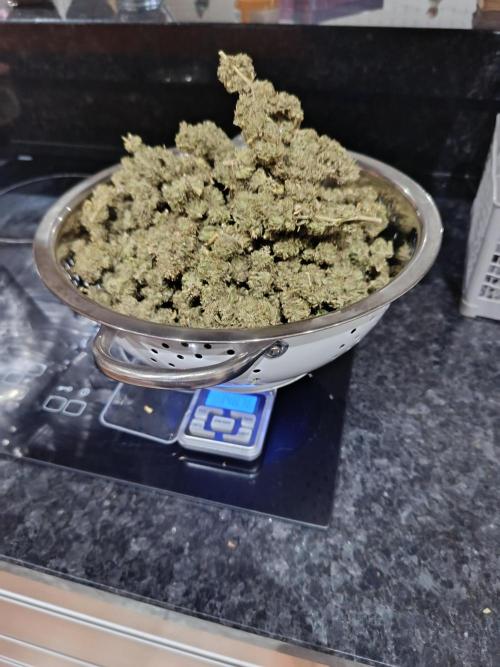 Northern Ligths 10/10 - Outdoor/Organic. Week 27