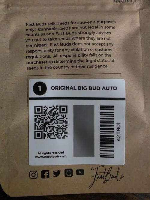 Big Bud Auto. Week 0