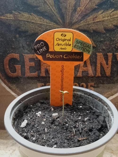 CCG OSS Projekt. Week 0 - 1.
