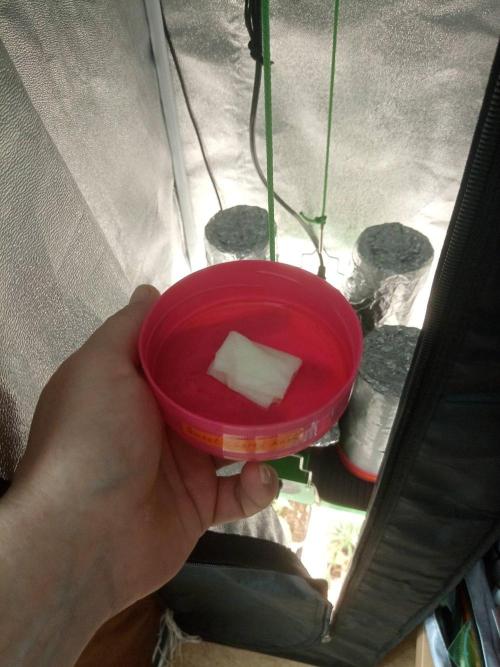 CCG SS Projekt. Week 0