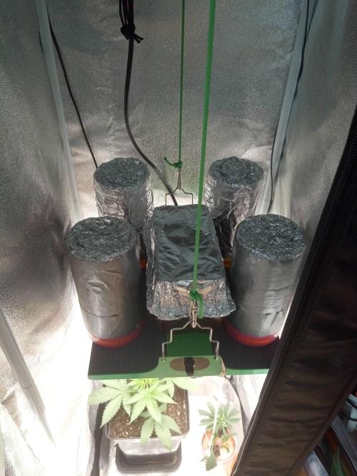 CCG SS Projekt. Week 0