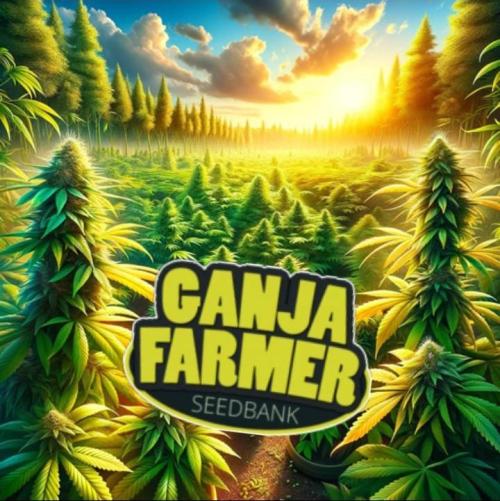 Ganja Farmer. Week 0