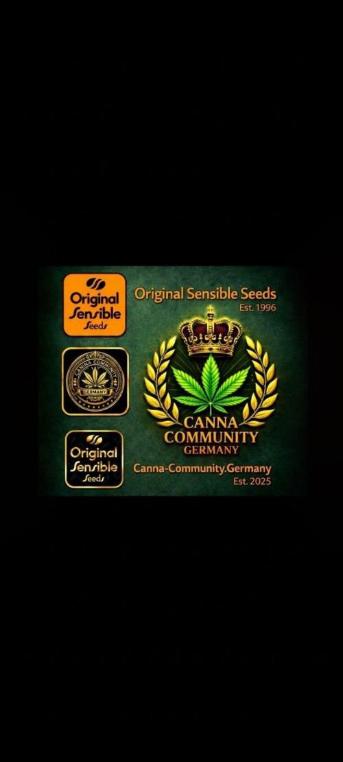 CCG OSS Community Grow #1. Week 0