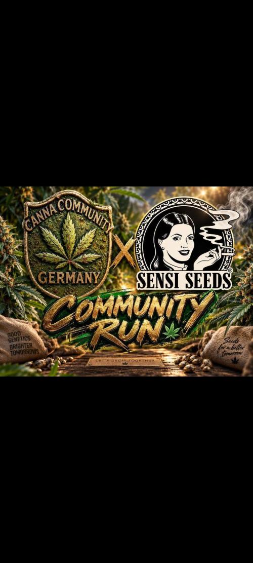 CCG SS Projekt. Week 0