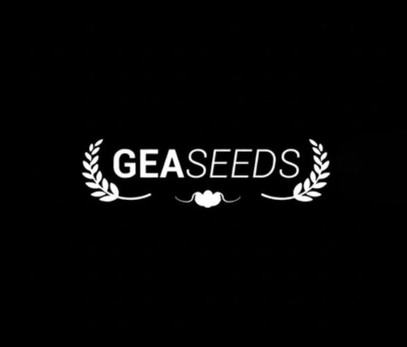 Gea Seeds. Week 0