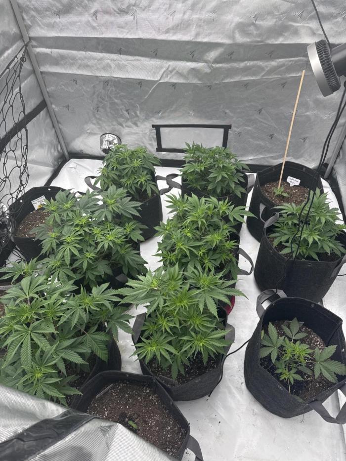 Second run. Week 1
