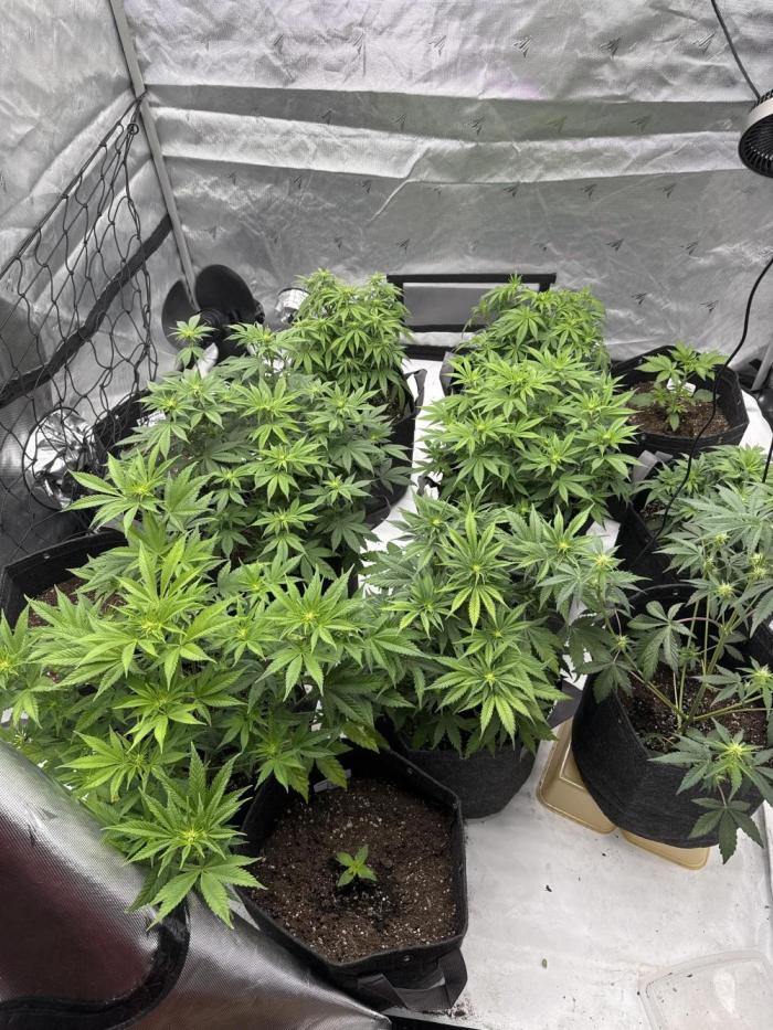 Second run. Week 9