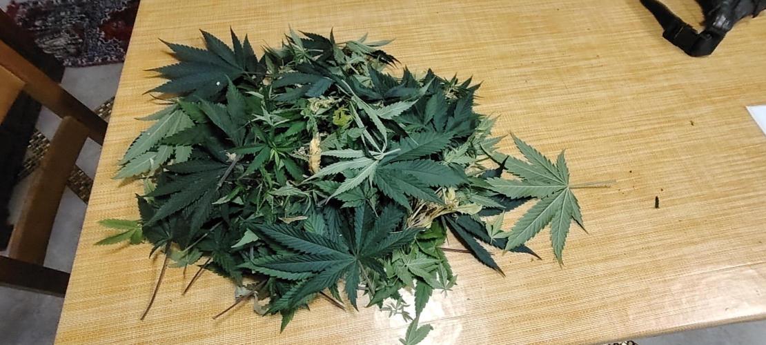 SUGAR CAKE E ORANGE FREEZE. Week 9