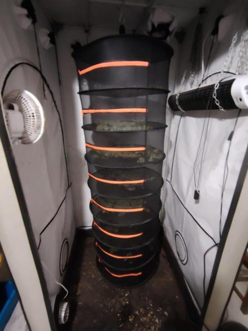 SUGAR CAKE E ORANGE FREEZE. Week 18