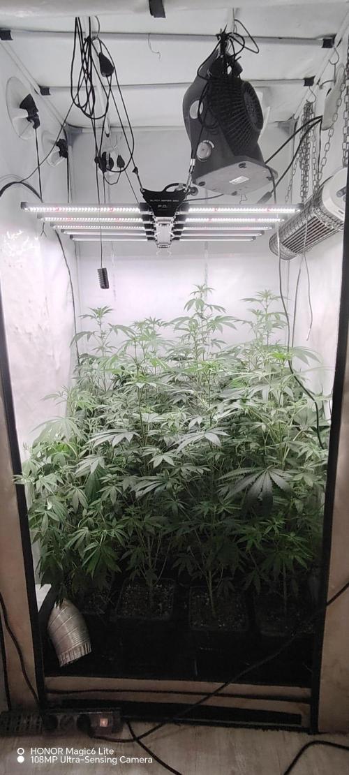 FUTURE F#1. Week 10