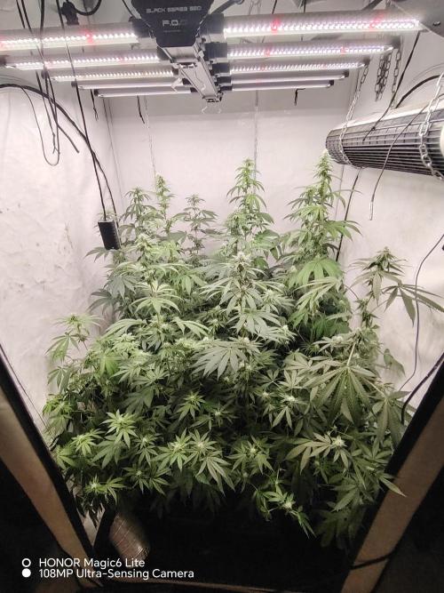 FUTURE F#1. Week 12