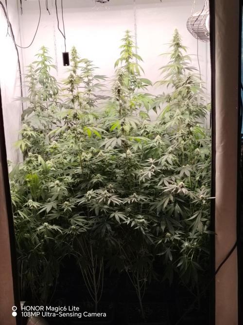 FUTURE F#1. Week 13
