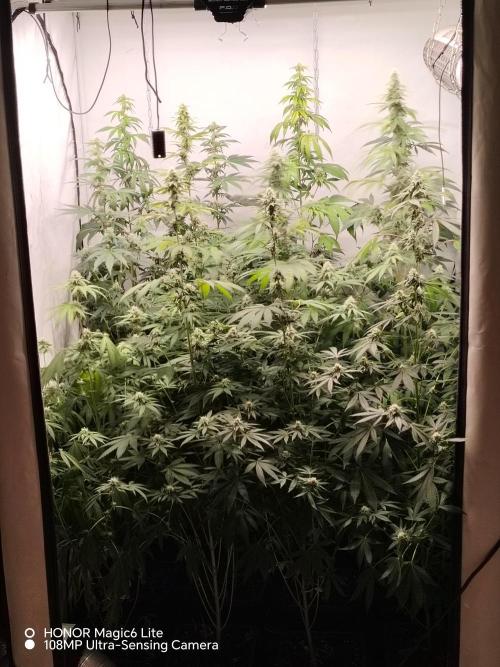 FUTURE F#1. Week 13
