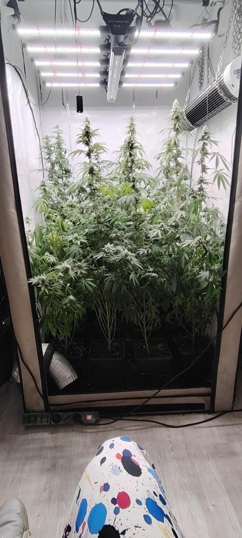 FUTURE F#1. Week 14