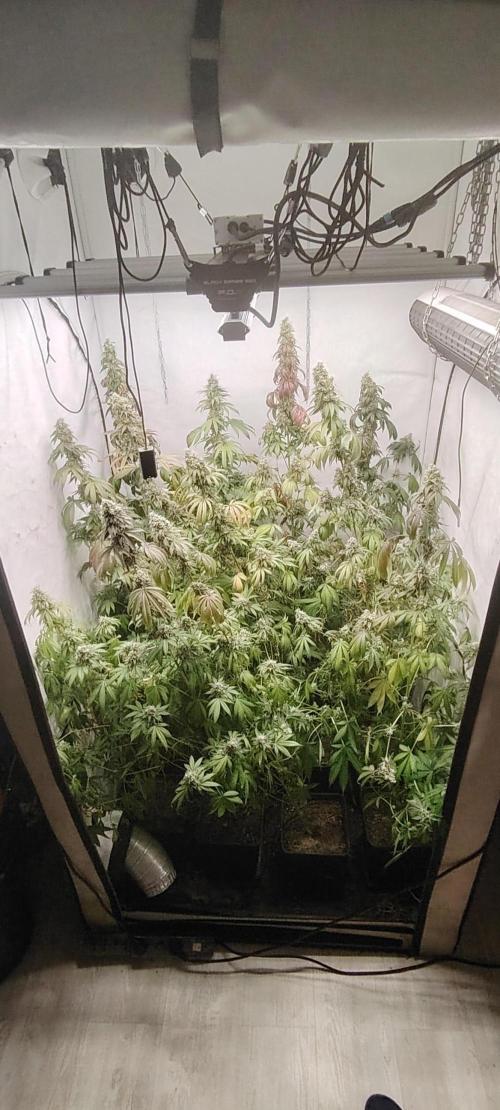 FUTURE F#1. Week 17