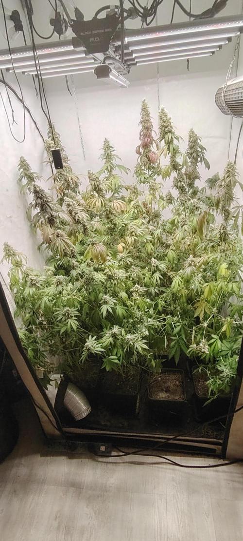 FUTURE F#1. Week 17