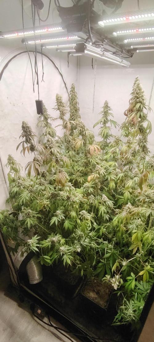 FUTURE F#1. Week 17
