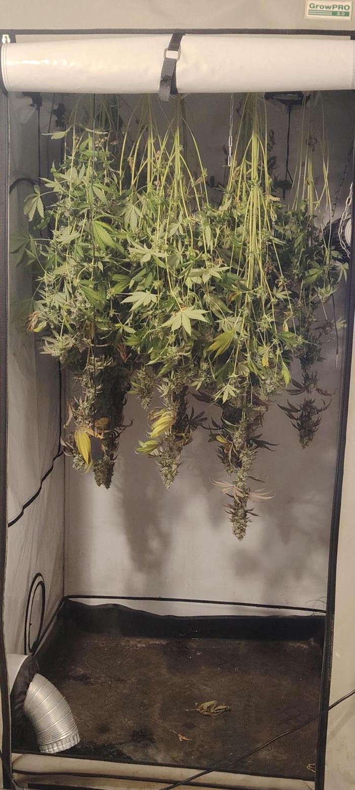 FUTURE F#1. Week 18
