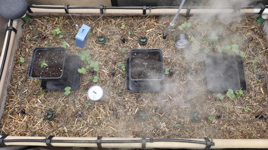 No-Till Run Nr. 5. Week 0
