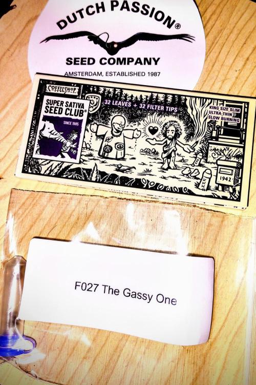 The Gassy One. Week 0