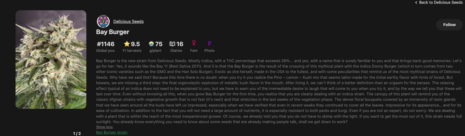 Bay Burger. Week 0