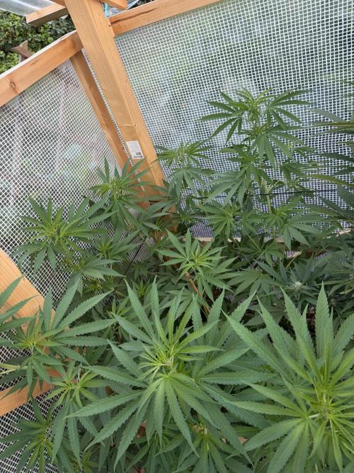 Outdoor 2026. Week 10
