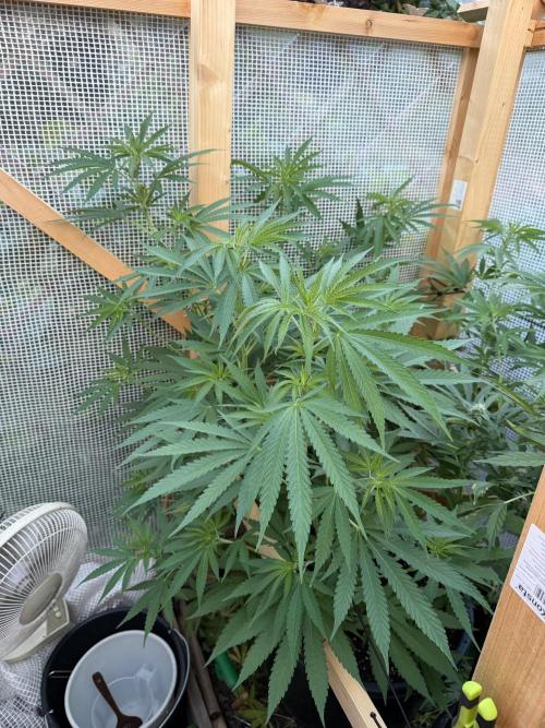 Outdoor 2026. Week 10