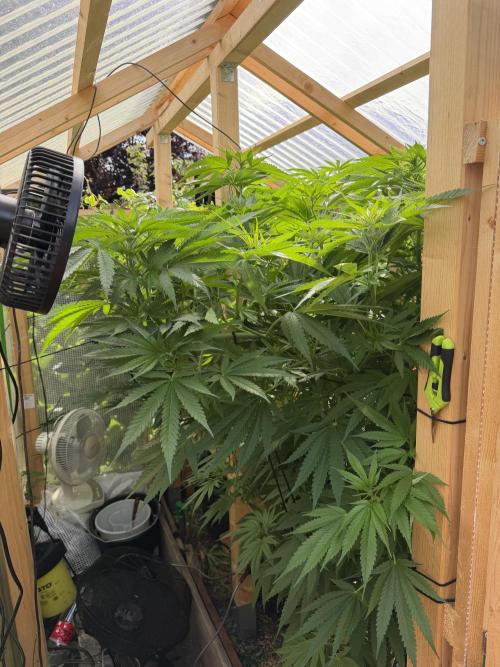 Outdoor 2026. Week 12
