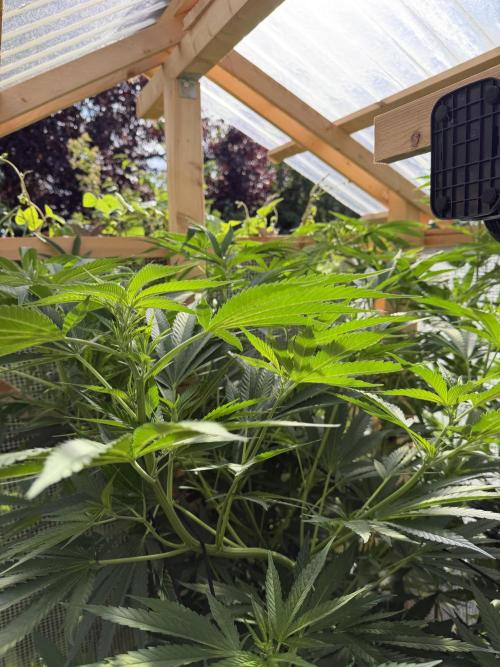 Outdoor 2026. Week 12
