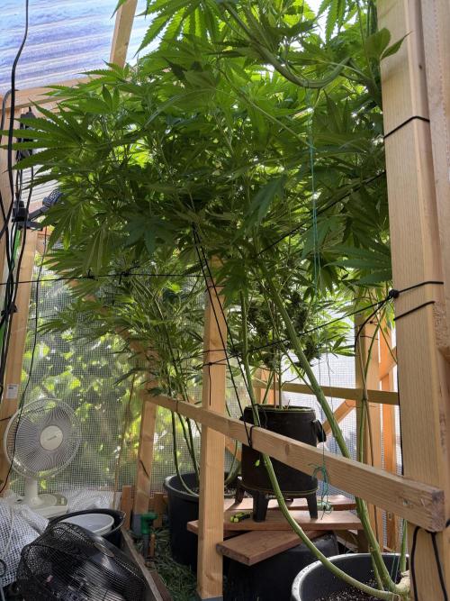 Outdoor 2026. Week 13