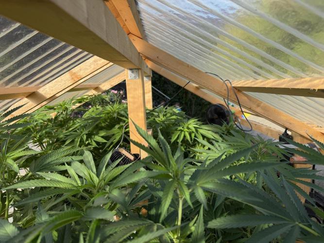 Outdoor 2026. Week 13