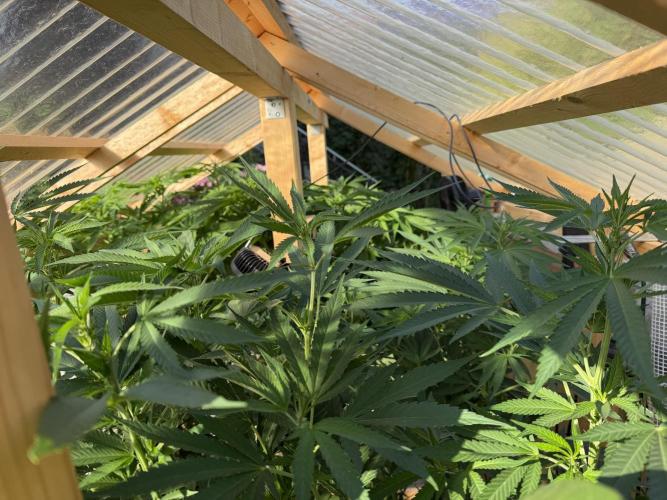 Outdoor 2026. Week 13