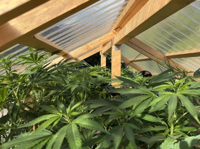 Outdoor 2026. Week 13