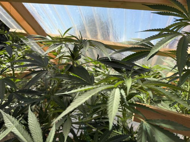 Outdoor 2026. Week 14