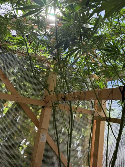Outdoor 2026. Week 14