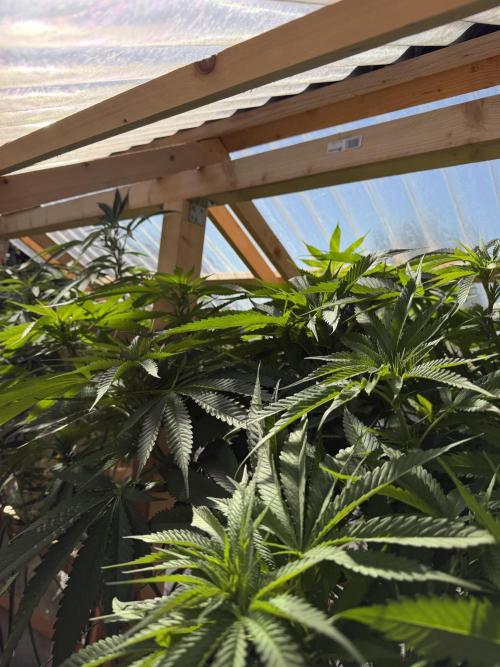 Outdoor 2026. Week 14