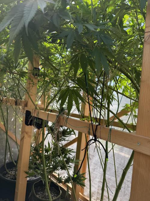 Outdoor 2026. Week 14
