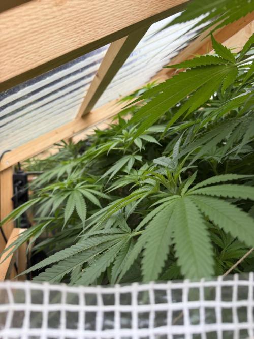 Outdoor 2026. Week 15