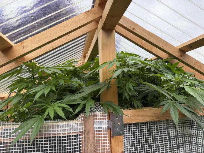 Outdoor 2026. Week 15