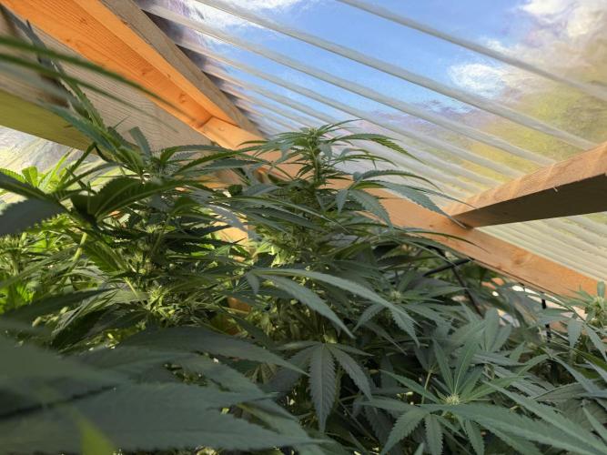 Outdoor 2026. Week 16