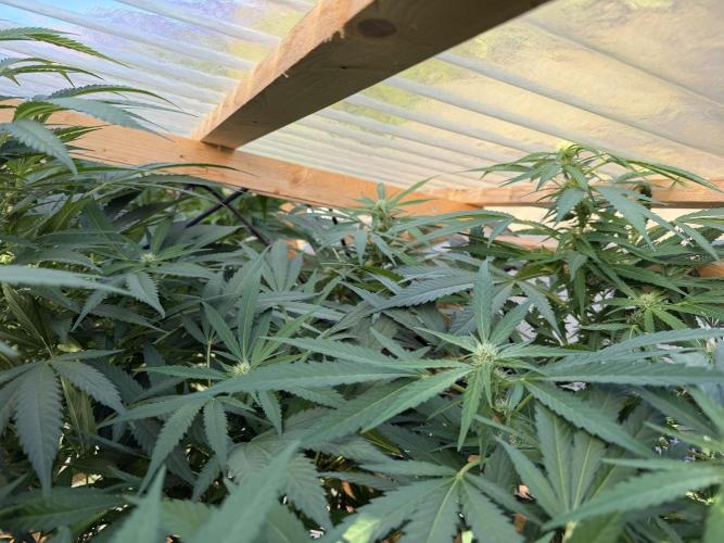 Outdoor 2026. Week 16