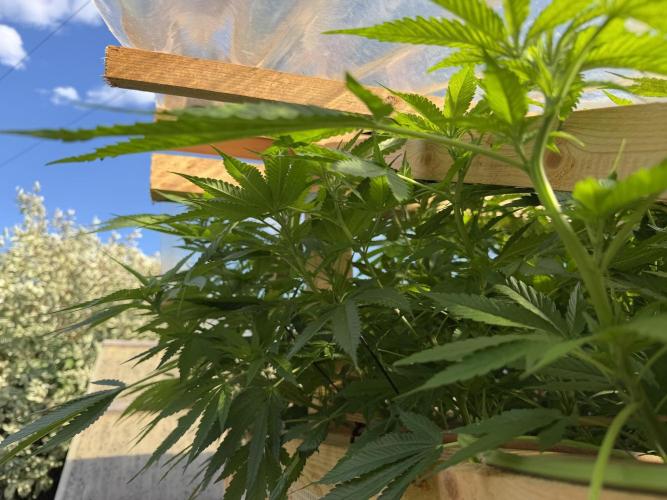 Outdoor 2026. Week 16